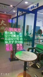 -东方美妍小鹏造型