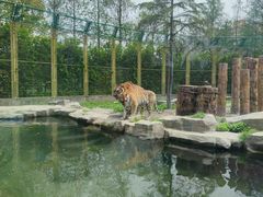 -上海野生动物园