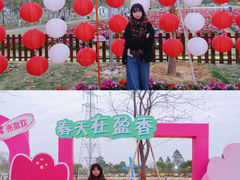 -盈香心动乐园