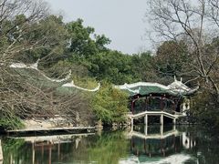 -江心屿景区