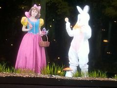 -彩色熊猫剧场