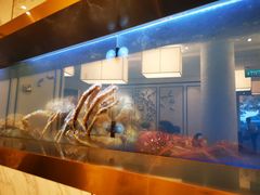 -无招牌海鲜餐厅(滨海艺术中心店)