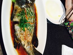 -梧桐餐厅(泉城路店)