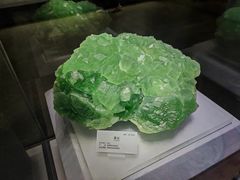 -湖南省地质博物馆