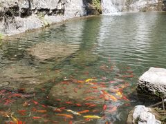 -十渡东湖港风景区