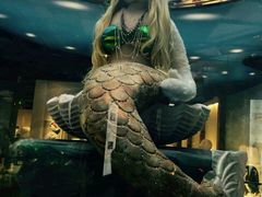 -成都泰迪熊博物馆