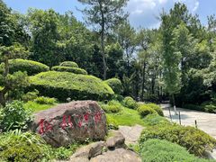 -铁山坪森林公园