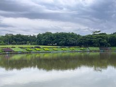 -东莞植物园