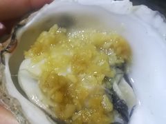 -蚝专家