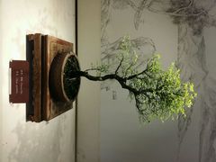 android_upload_pic-盆景园(扬州大运河文化旅游度假区)