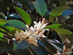 -白塘生态植物园