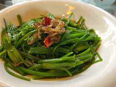 菌香水性杨花-尽善百年古院餐厅(王家老宅店)