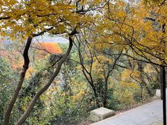 -虞山风景区