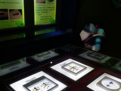 -上海昆虫博物馆