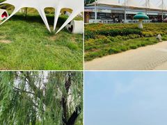 -北京国际鲜花港