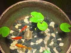 -曲水兰亭(北京四惠店)