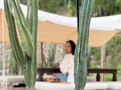 -MOJ coffee(瓯海泽雅水碓坑店)