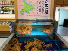 -蟹道乐( 新宿駅前店)