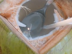 东炎香椰-地理学家咖啡馆