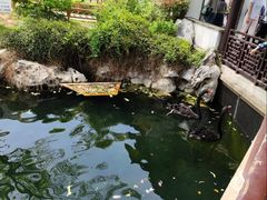 -无锡蠡湖国家湿地公园-蠡园