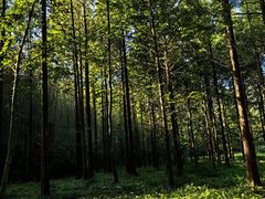 -小格里自然风景区
