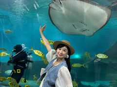 -福州罗源湾海洋世界旅游区