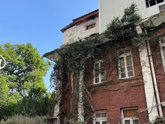-溪岸路花鸟市场