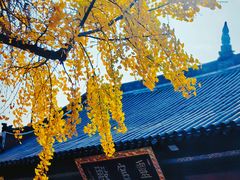 -长春观