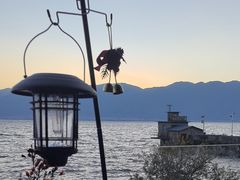 -六阅·福十 FORTEN 海景咖啡西餐厅(双廊古镇店)