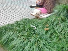 -联华超市(新闸路店)