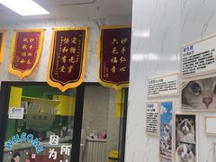 -瑞鹏瑞爱宠物医院·全科·猫科·血液透析中心(龙头寺店)