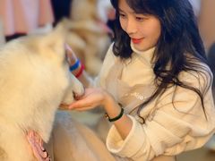 -Husky Go! 哈士奇体验馆·宠物咖啡厅狗咖