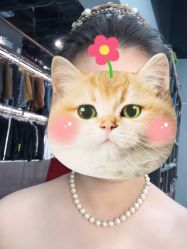 -MINIPHOTO婚纱摄影(星光天地商场店)