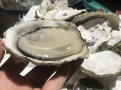 -蚝美人·生蚝海鲜烧烤(茶花园店)