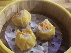 -肥佬夜茶(早茶·西乡店)