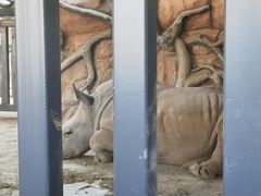 -武汉动物园
