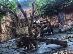 -泉州海丝野生动物世界