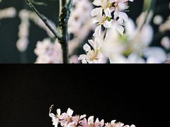 -门城湖公园