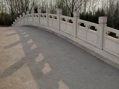 -塘沽森林公园