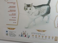 -宠颐生宠物医院外科·内科·皮肤科·影像科(石龙店)