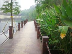 -重庆彩云湖湿地公园