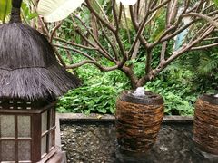 -厦门日月谷温泉渡假村