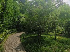 -南京东郊国宾馆