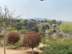 -北京西山国家森林公园