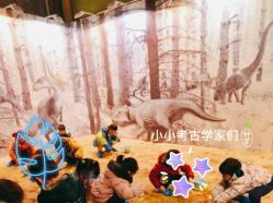 -恐龙探索乐园(磁器口店)