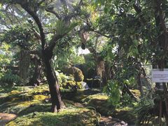 -Chom Cafe and Restaurant