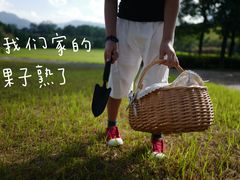 -福建鲤鱼洲酒店