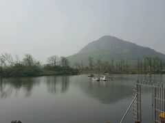 -桃花岛景观公园