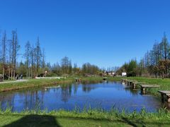 -前小桔亲子创意农场·草莓采摘·露营烧烤