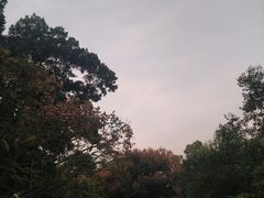 -聚龙山公园
